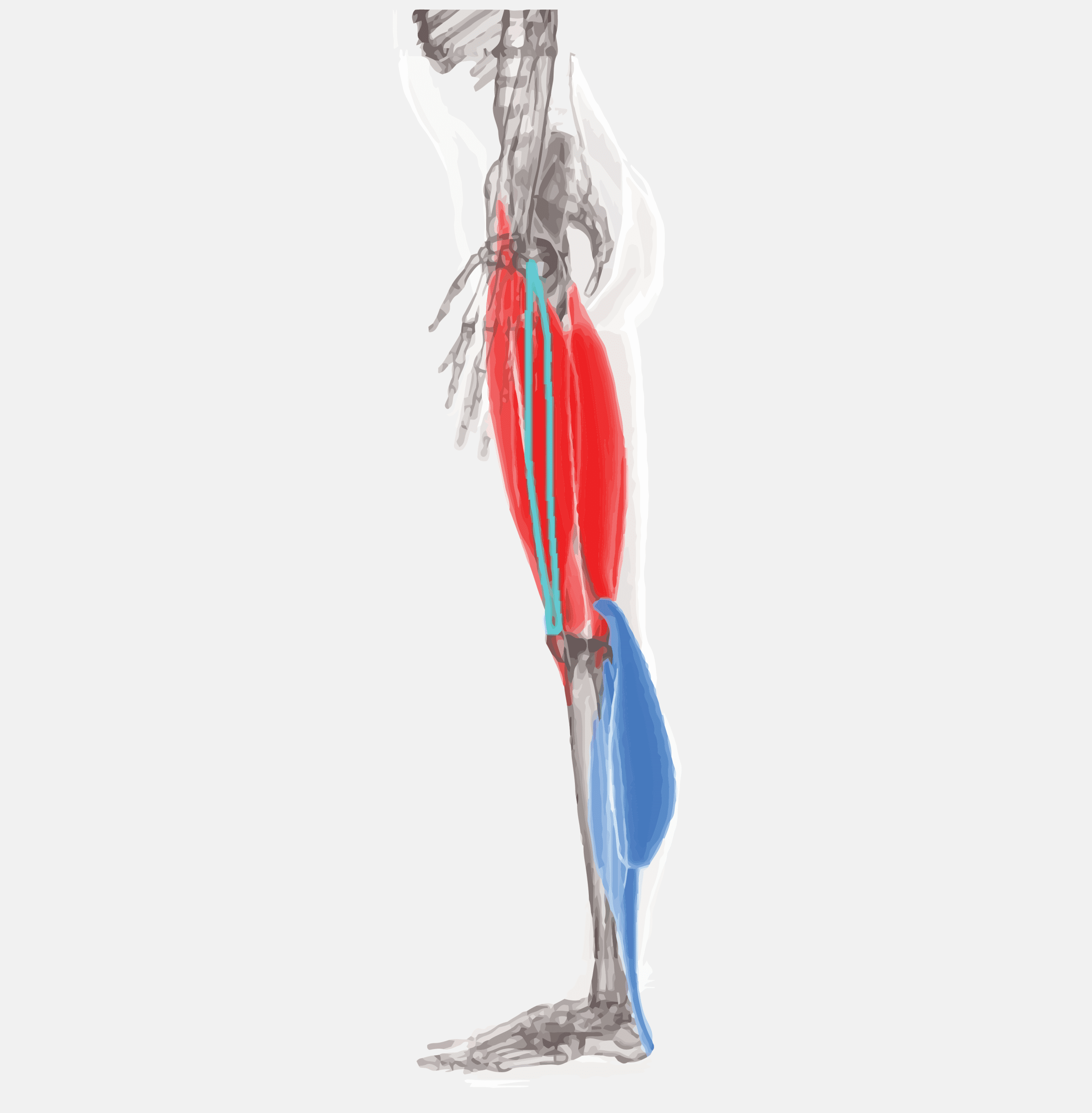 Diagnóstico postural 3D con MotiPhysio en Clínica Podogral Barcelona
